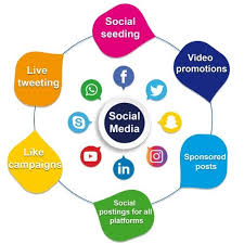 social media